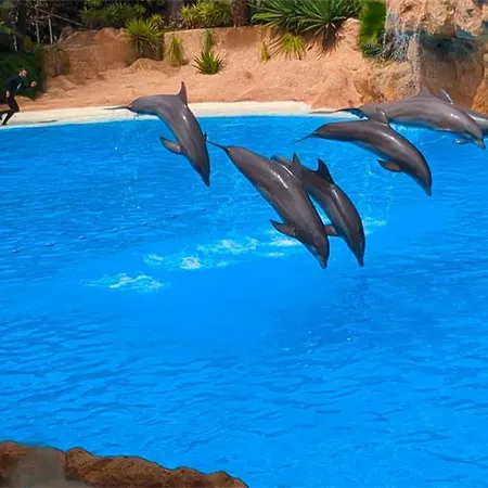 Cristianos Ocean Harmony Appartamento